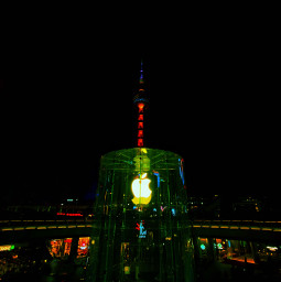 apple landmark shanghai 东方明珠